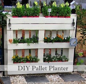 DIY pallet planter | photo credit: http://www.themicrogardener.com
